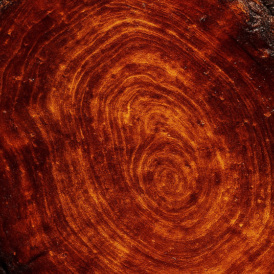 Amberwood perfume ingredient