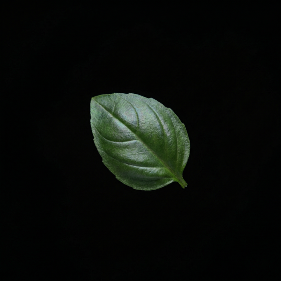 Basilicum perfume ingredient