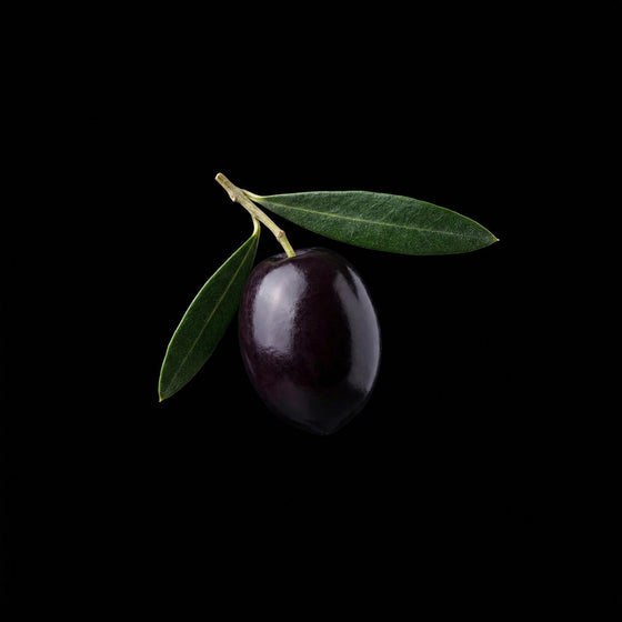 블랙 올리브 perfume ingredient