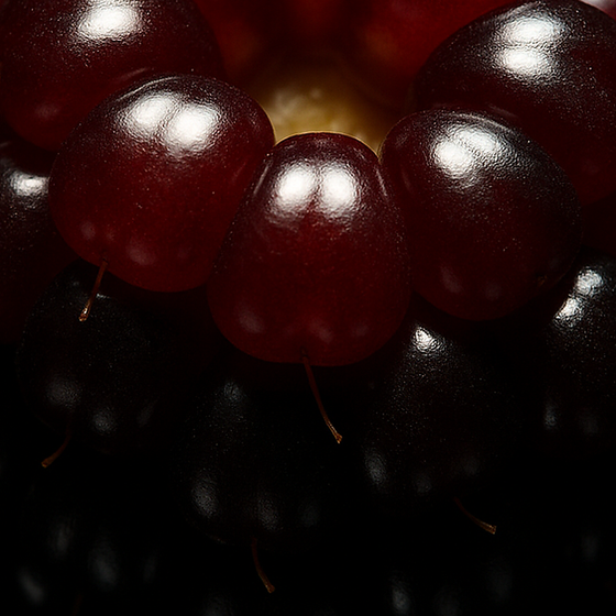 Brombeere perfume ingredient