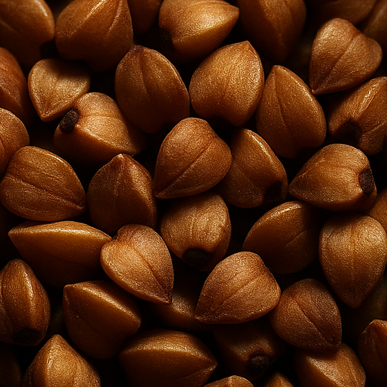 메밀 perfume ingredient