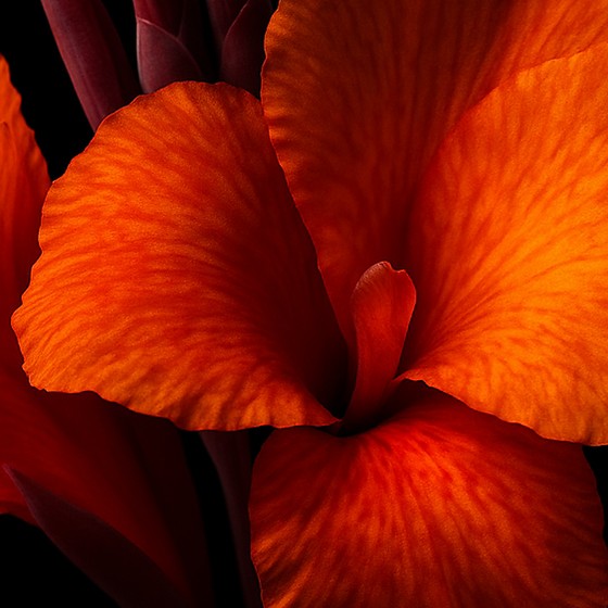 Cannabisbloem perfume ingredient