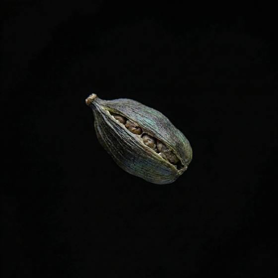 Cardamomo perfume ingredient