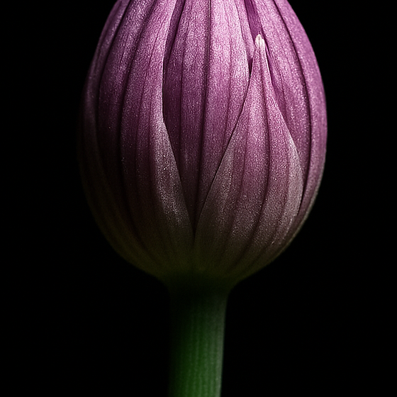 차이브 perfume ingredient
