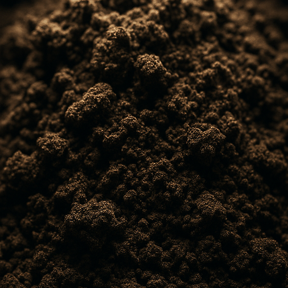 흙 perfume ingredient