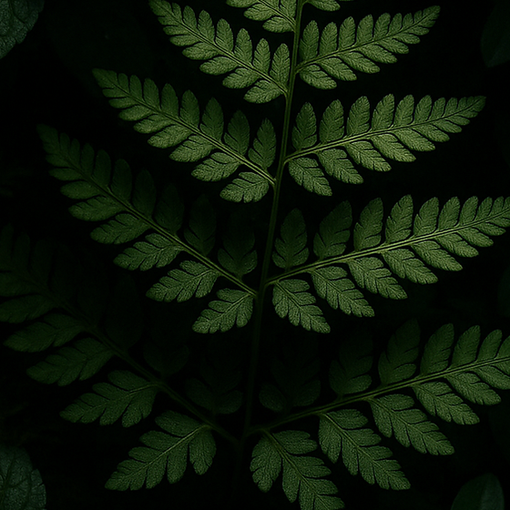 Bosfoliage perfume ingredient