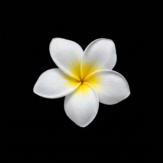 Frangipani perfume ingredient