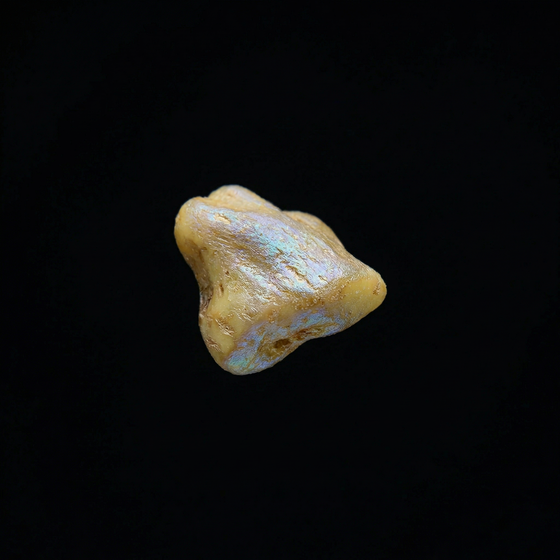 Zenzero perfume ingredient