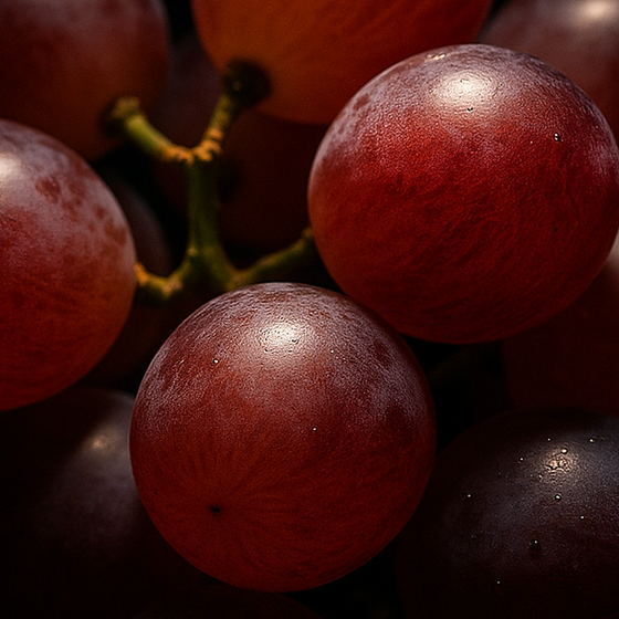 Uva perfume ingredient