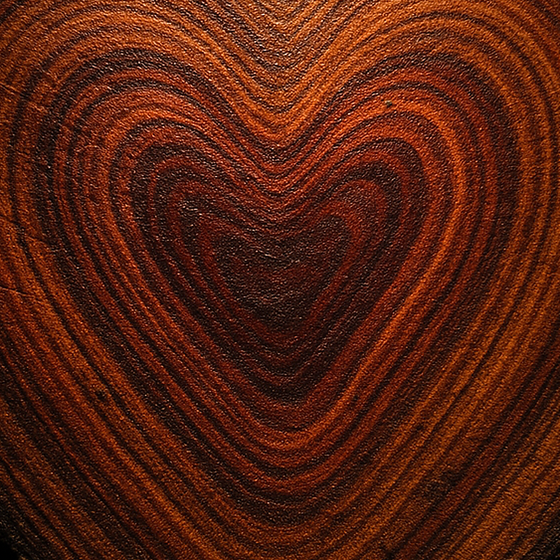 Healingwood perfume ingredient
