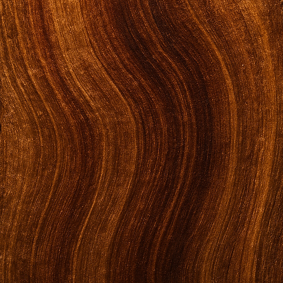 Indisches Sandelholz perfume ingredient