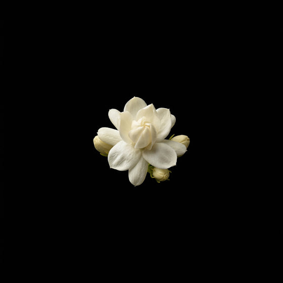 Jasmine perfume ingredient