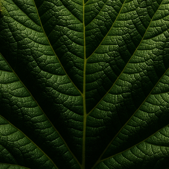 날카 perfume ingredient