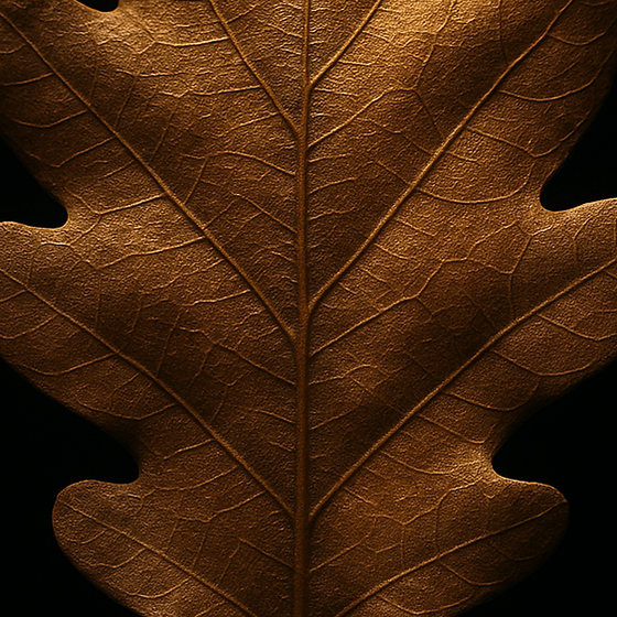 Roble perfume ingredient