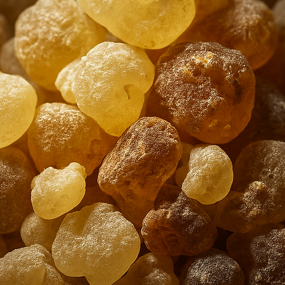 Olibanum (Frankincense) perfume ingredient