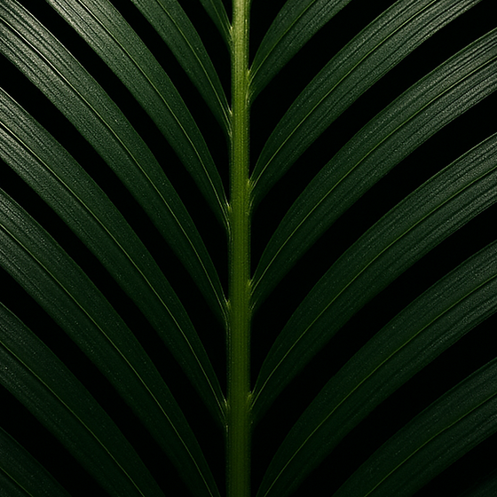 Palmblatt perfume ingredient