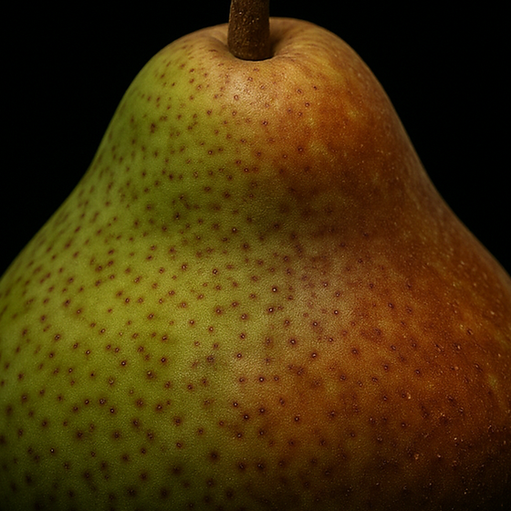 배나무 perfume ingredient