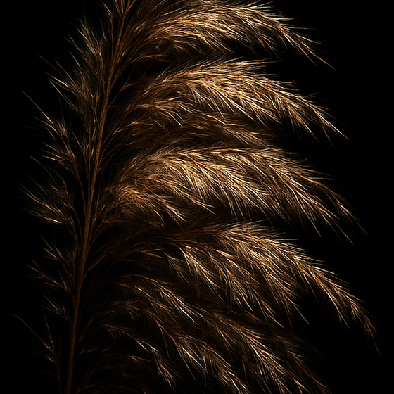 Caña perfume ingredient