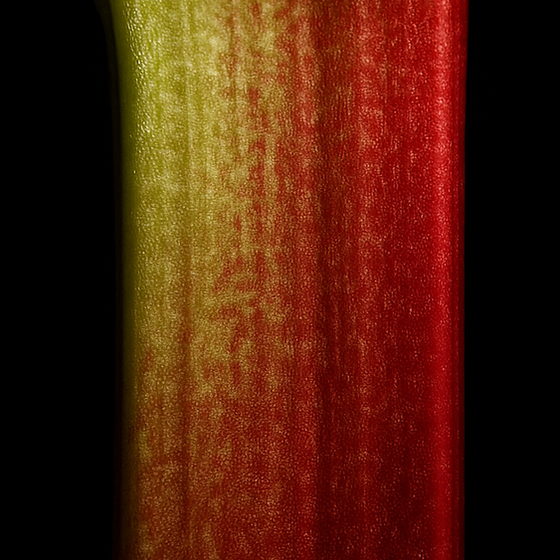 Rabarbaro perfume ingredient