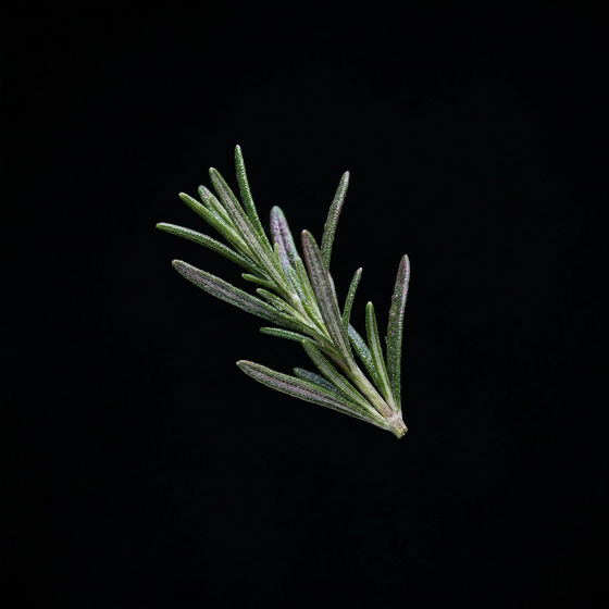 로즈마리 perfume ingredient
