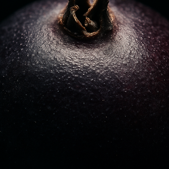 サルサパリラ perfume ingredient