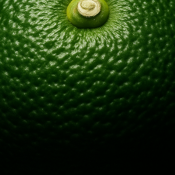 Sudachi Zitrus perfume ingredient