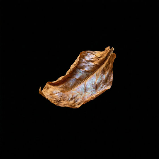 Tabak perfume ingredient