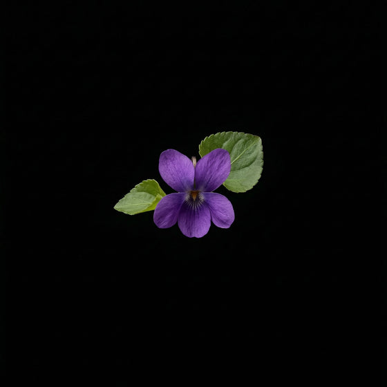 Violet perfume ingredient