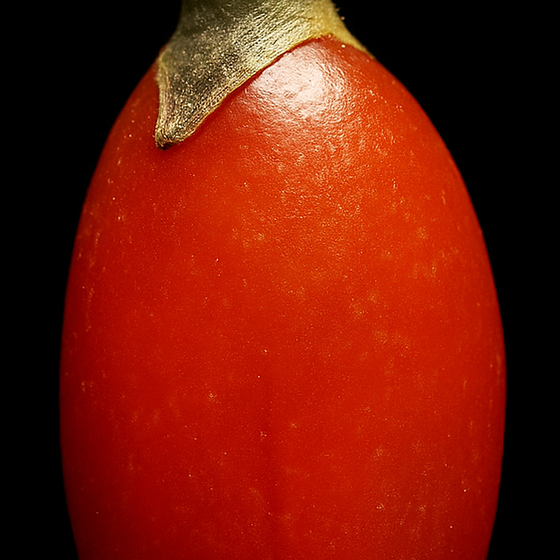 Wolfbeere perfume ingredient