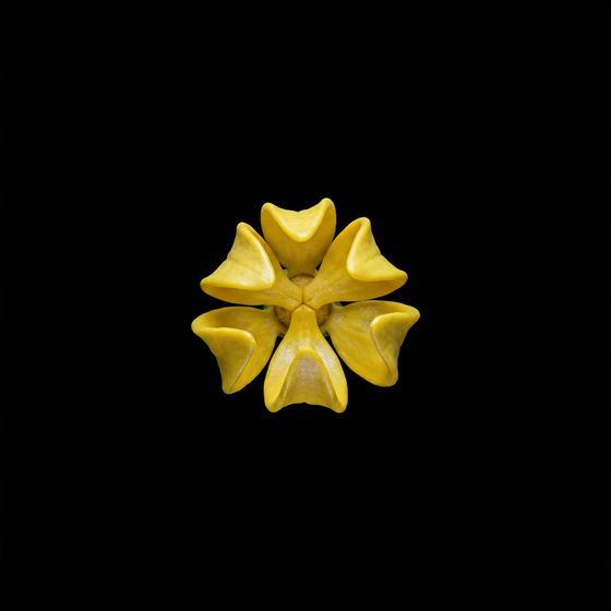 يلانغ يلانغ perfume ingredient